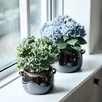 Apartment Voellige Ruhe Mitten In Der *