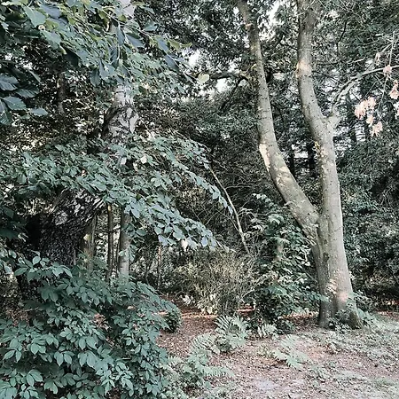 Voellige Ruhe Mitten In Der *