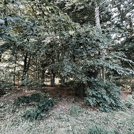 Apartment Voellige Ruhe Mitten In Der *