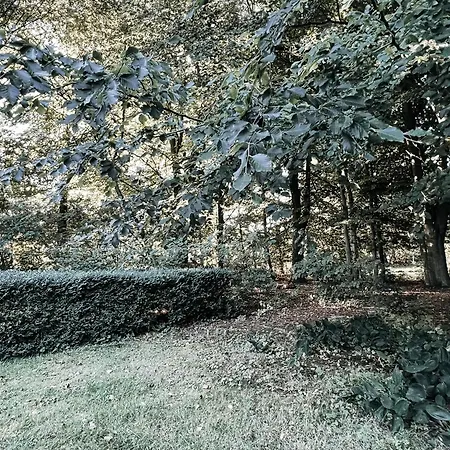 Voellige Ruhe Mitten In Der Apartment