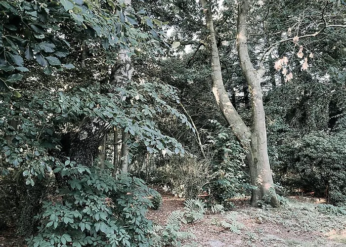 Voellige Ruhe Mitten In Der *