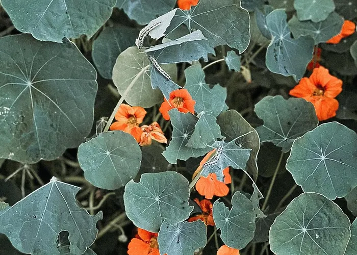 Voellige Ruhe Mitten In Der Ringkobing