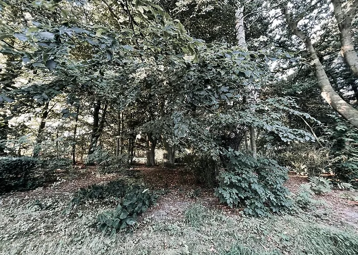 Apartment Voellige Ruhe Mitten In Der *