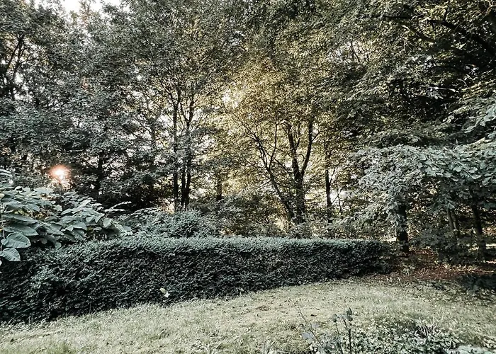 Voellige Ruhe Mitten In Der דירה רינגקובינג