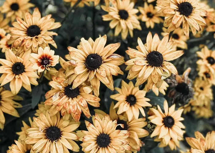 Apartment Voellige Ruhe Mitten In Der Ringkobing