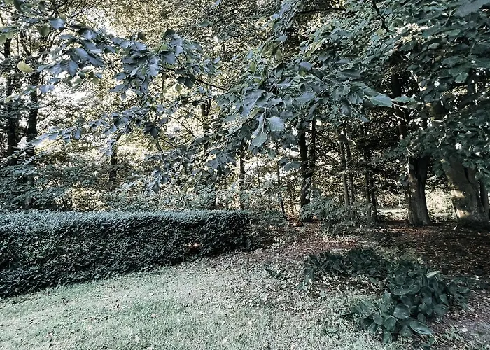 Voellige Ruhe Mitten In Der Apartment