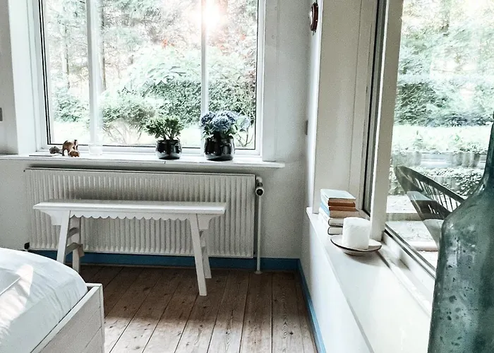 Voellige Ruhe Mitten In Der *