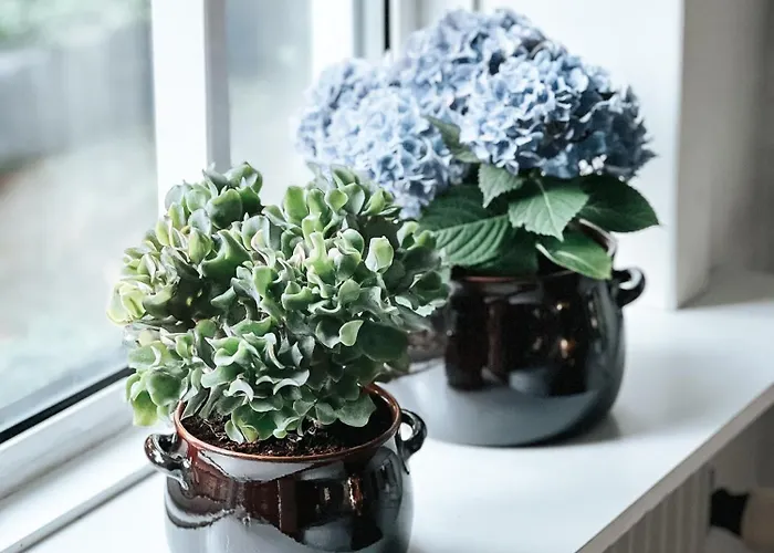 Apartment Voellige Ruhe Mitten In Der *