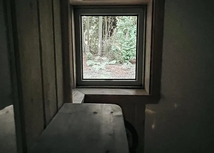 Voellige Ruhe Mitten In Der רינגקובינג